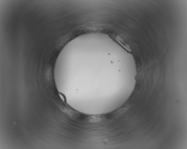 X0000067330623200604211911