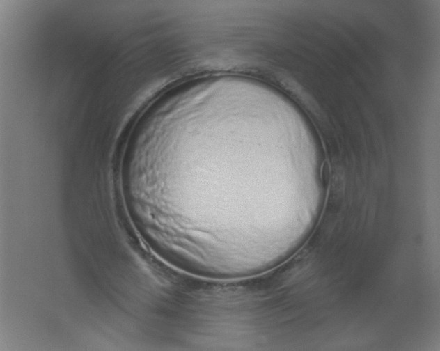 X0000067330626200604211910