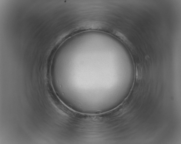X0000067330627200604211910
