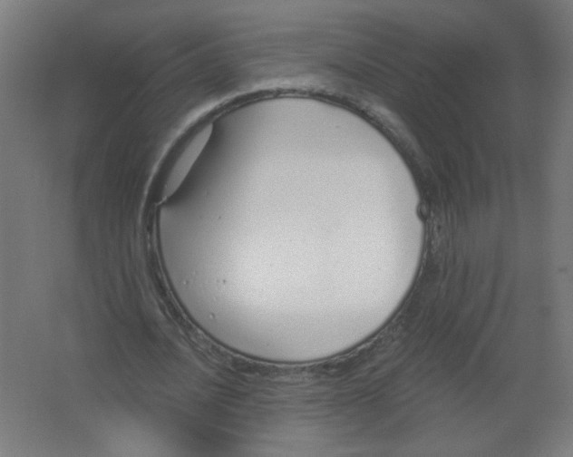X0000067330628200604211910