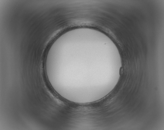 X0000067330629200604211910