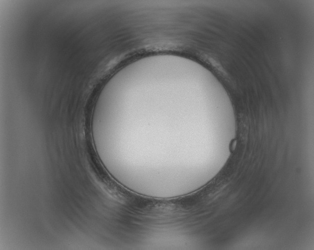 X0000067330631200604211910