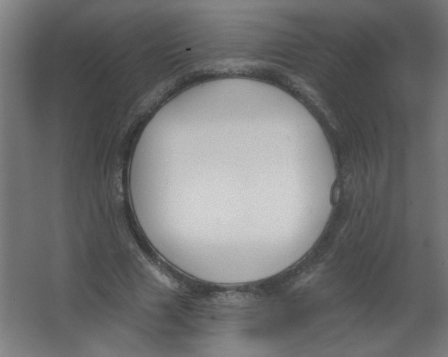 X0000067330633200604211910