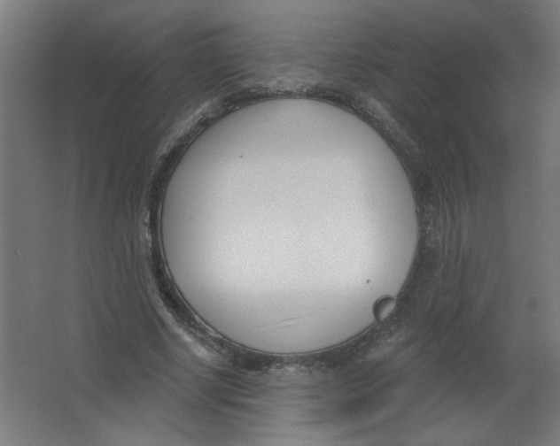 X0000067330634200604211910