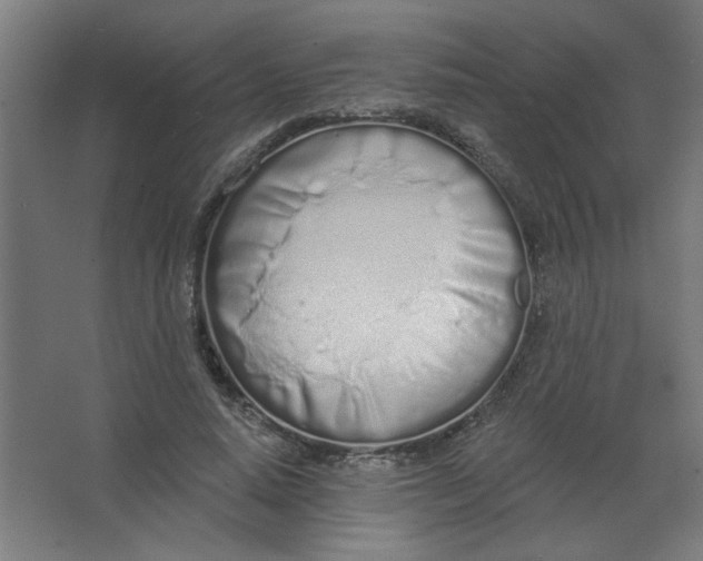 X0000067330640200604211910