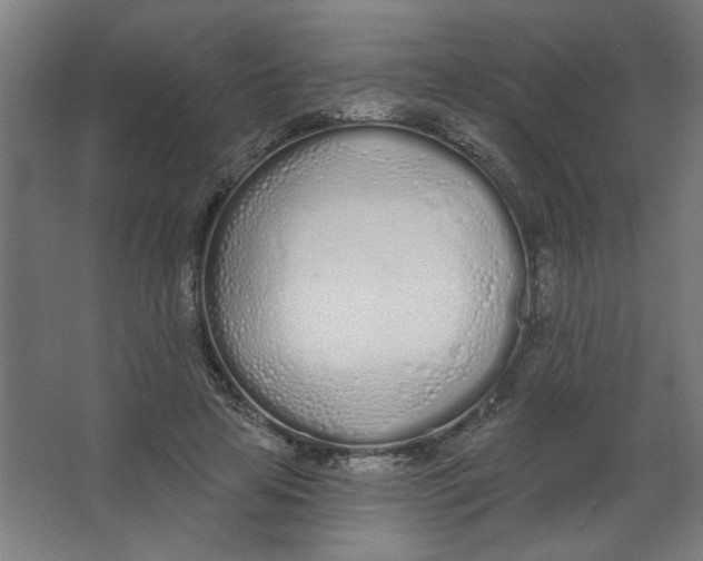 X0000067330641200604211910