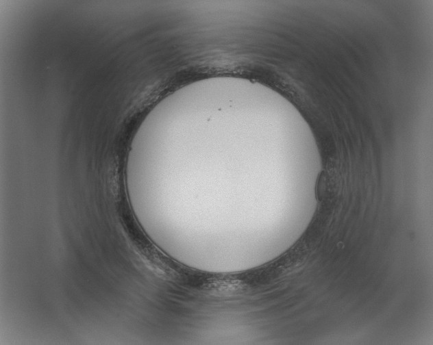 X0000067330642200604211910