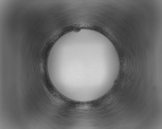 X0000067330643200604211910