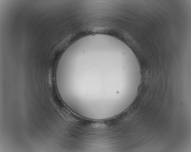 X0000067330644200604211910