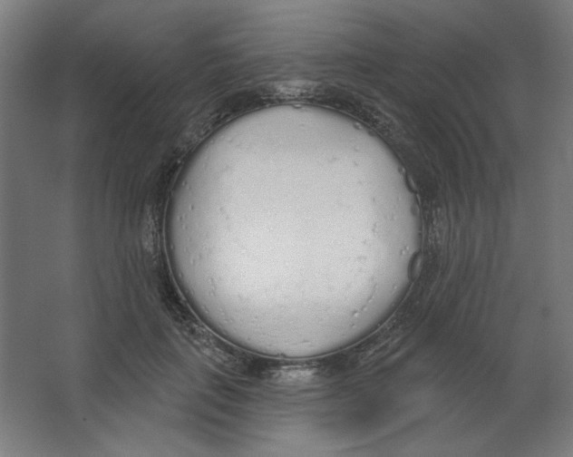 X0000067330651200604211911