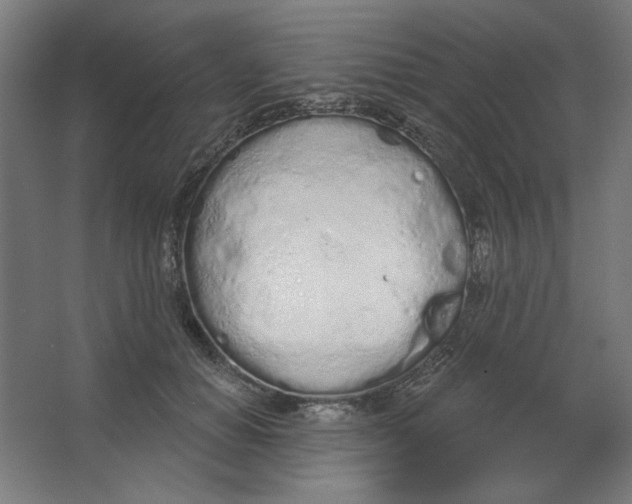 X0000067330654200604211911