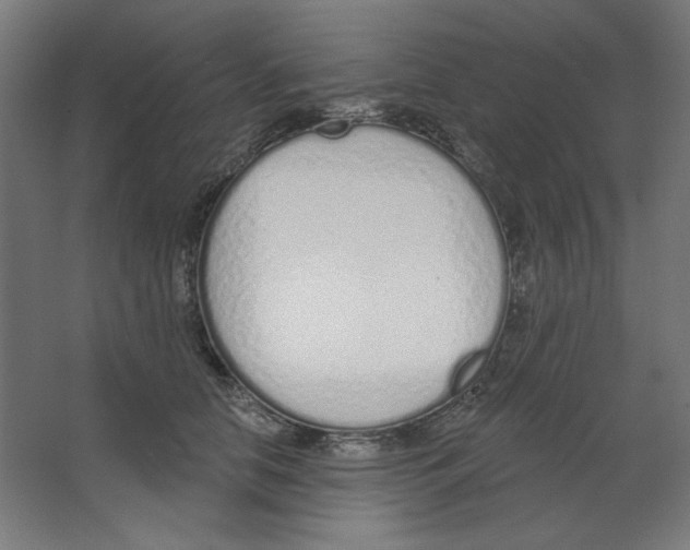 X0000067330658200604211911