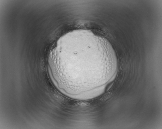 X0000067330659200604211911