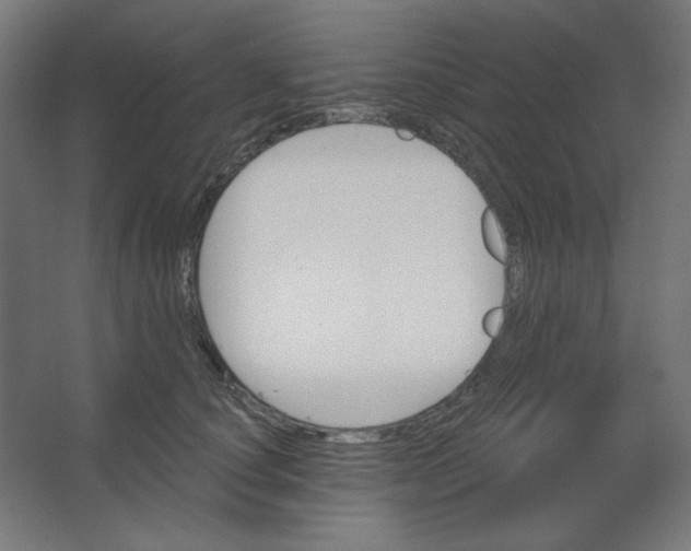 X0000067330660200604211911