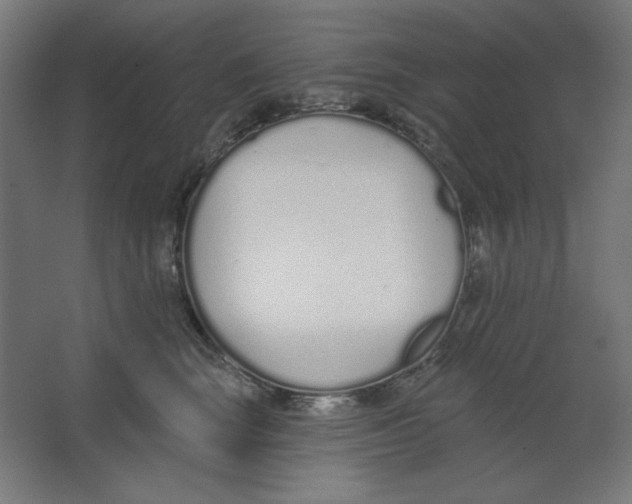 X0000067330663200604211911
