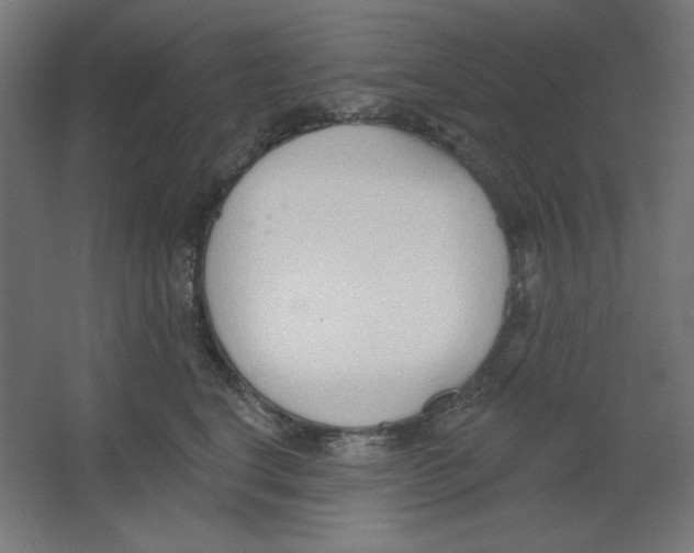 X0000067330664200604211911