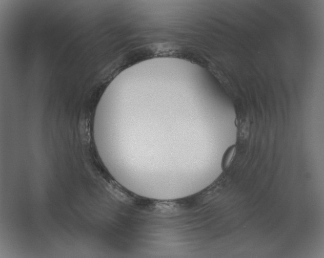 X0000067330666200604211911