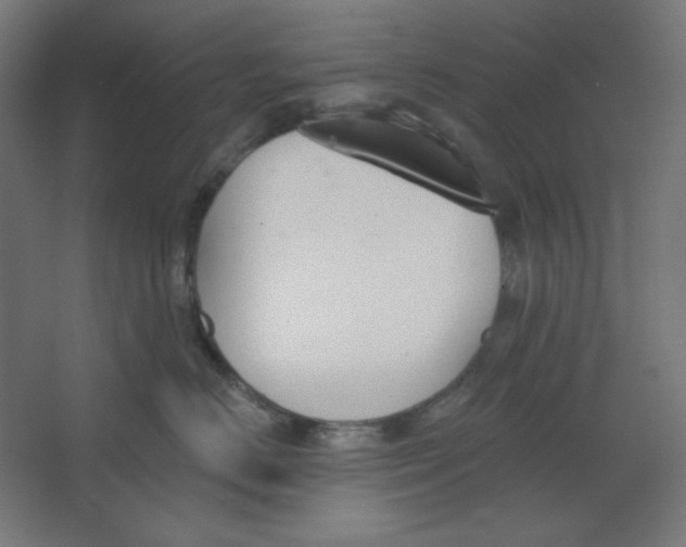 X0000067330670200604211911