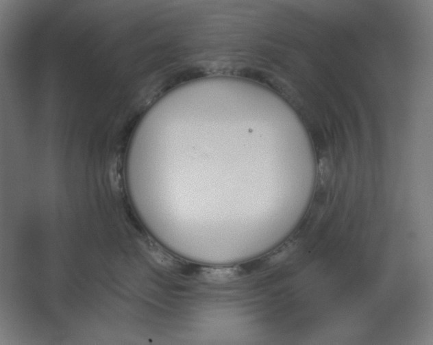 X0000067330671200604211911