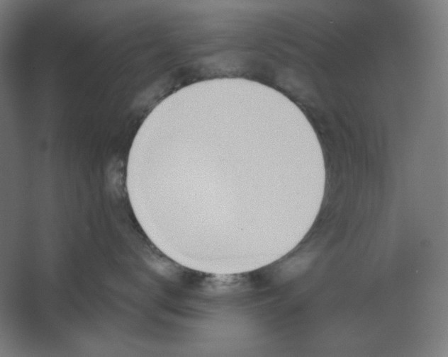 X0000067330672200604211911