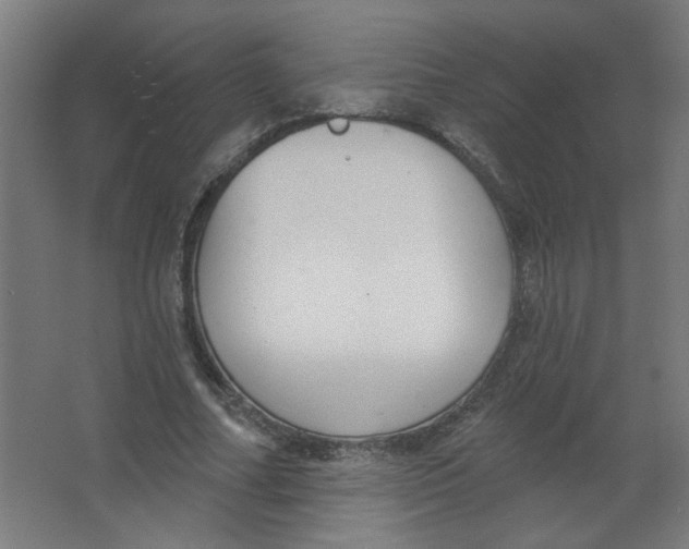 X0000067330682200604211910
