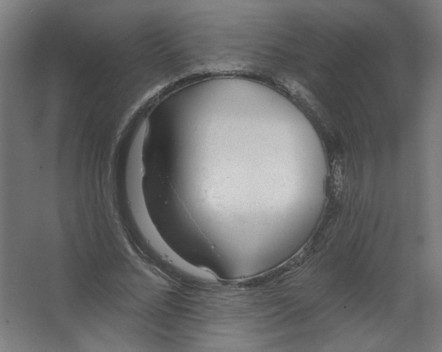 X0000067330684200604211910