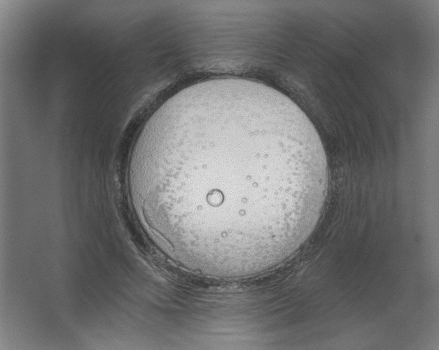 X0000067330688200604211910