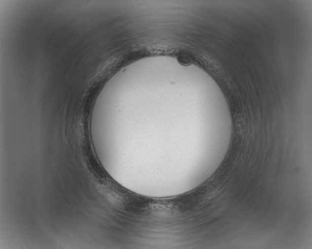X0000067330690200604211910