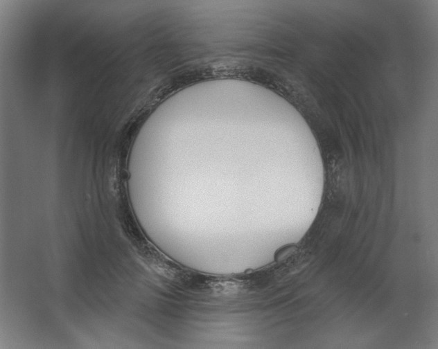 X0000067330698200604211910