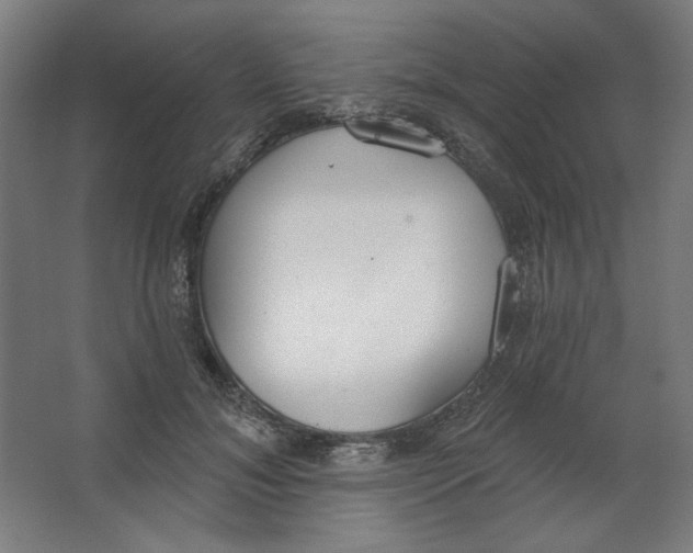 X0000067330700200604211910