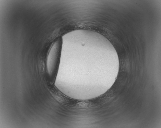 X0000067330703200604211910