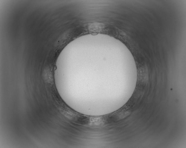 X0000067330705200604211910