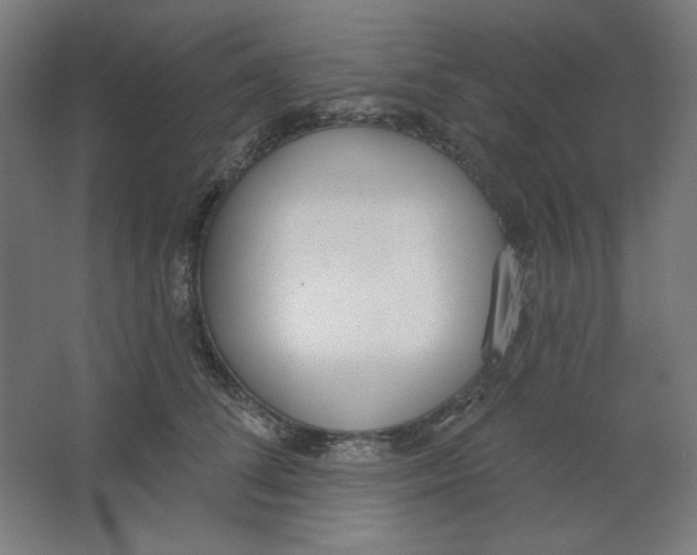 X0000067330708200604211910