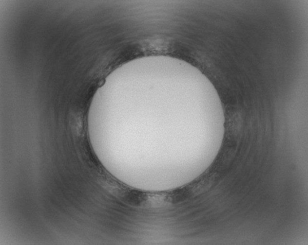 X0000067330709200604211910