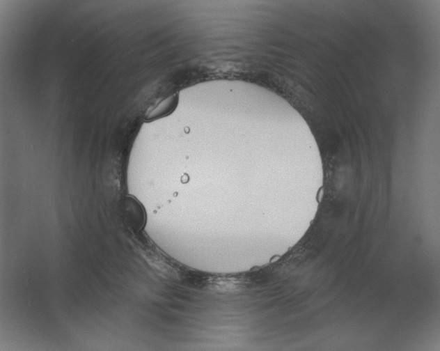 X0000067330710200604211909