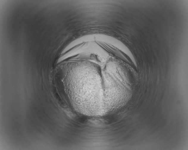 X0000067330712200604211909