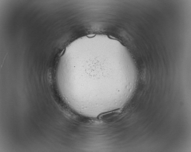 X0000067330715200604211909