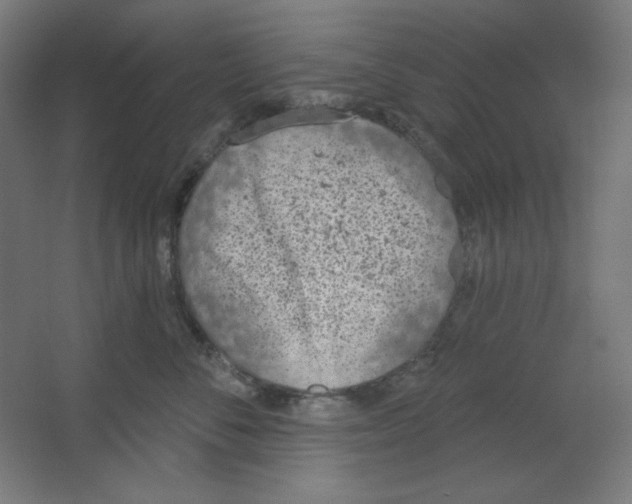 X0000067330716200604211909