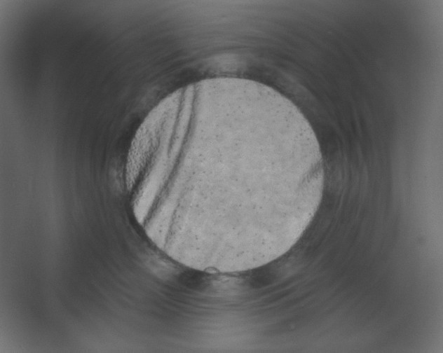 X0000067330718200604211909
