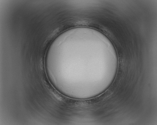 X0000067330729200604211909