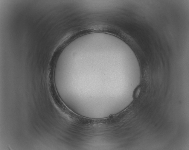 X0000067330730200604211909