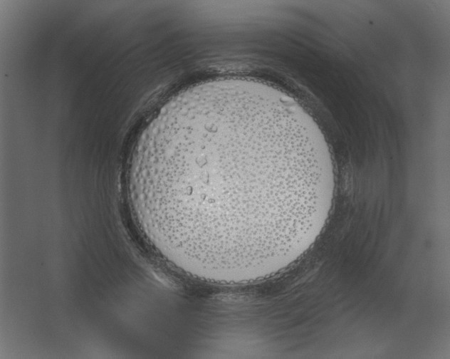 X0000067330733200604211909
