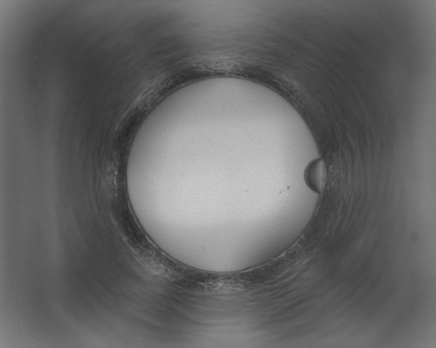 X0000067330739200604211909