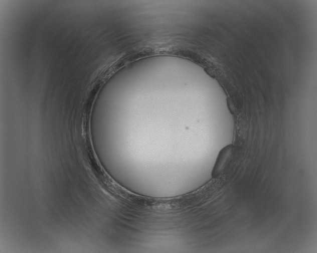 X0000067330740200604211909