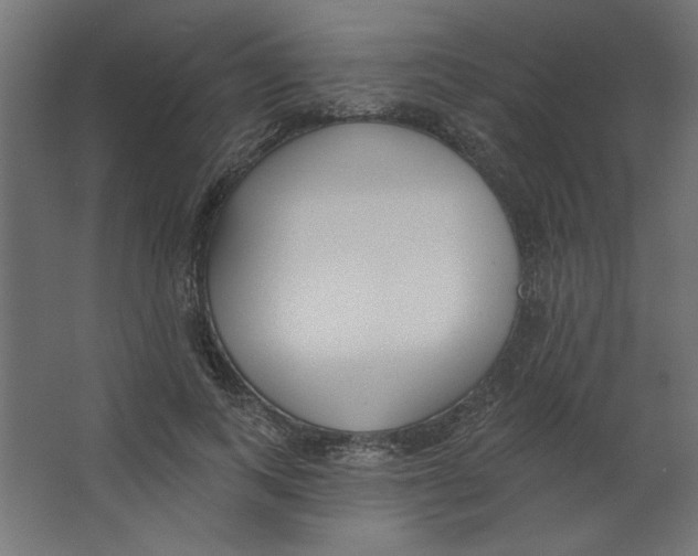 X0000067330743200604211909
