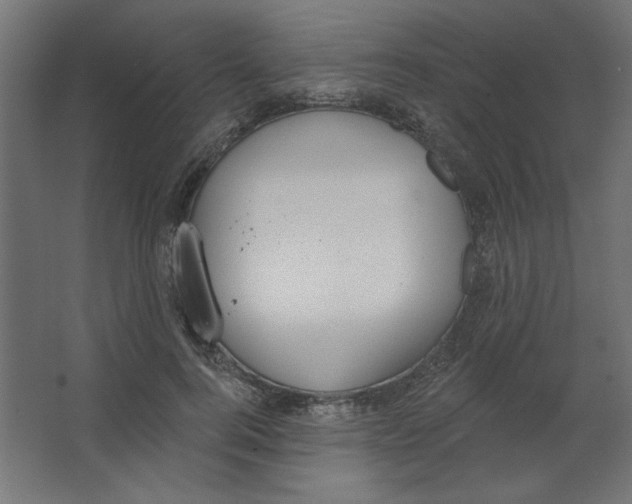 X0000067330744200604211909