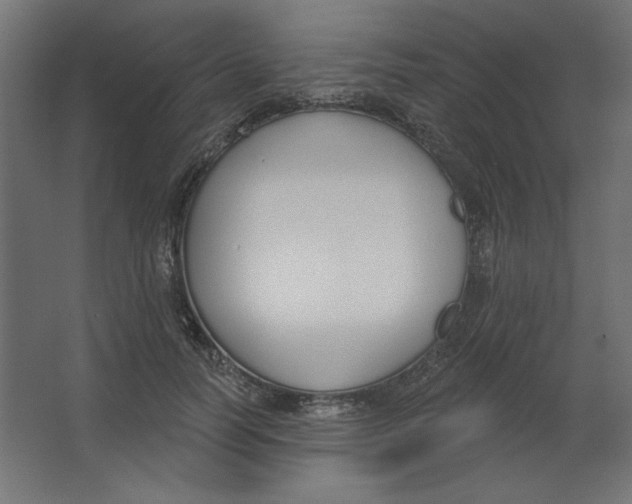 X0000067330746200604211909