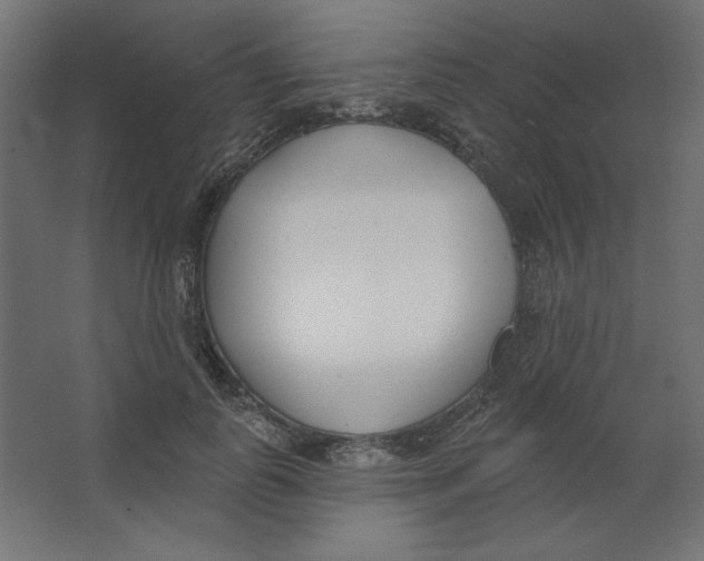 X0000067330747200604211909