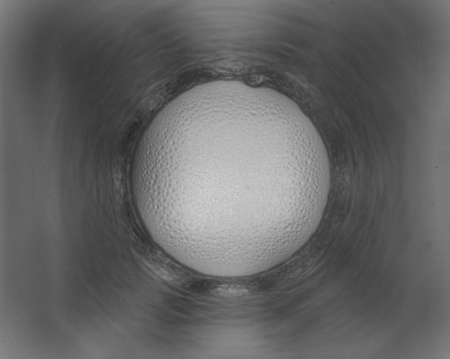 X0000067330749200604211909