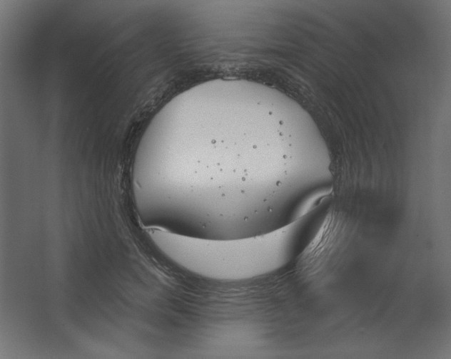 X0000067330750200604211909